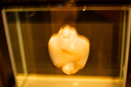 Churaumi Aquarium  No-22