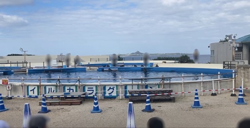 Churaumi Aquarium  No-1