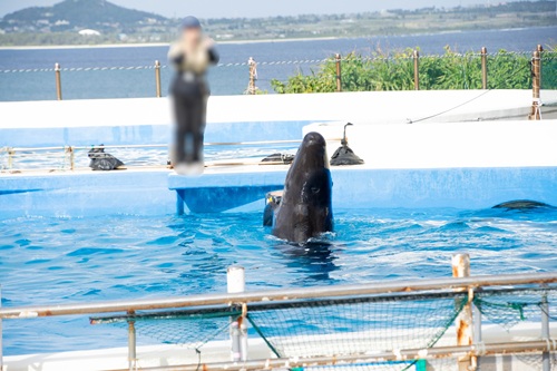 Churaumi Aquarium  No-5