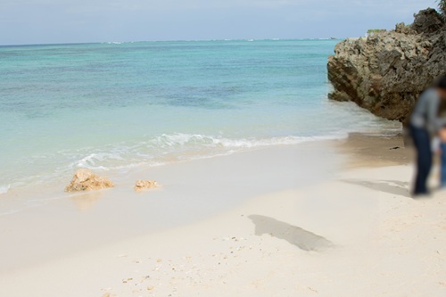 Churaumi Aquarium  No-11