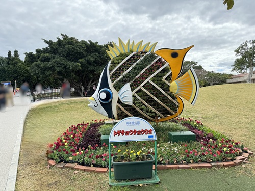 Churaumi Aquarium  No-16