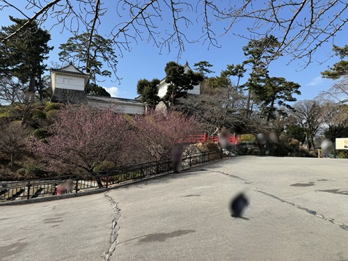 Odawara Castle  No-7