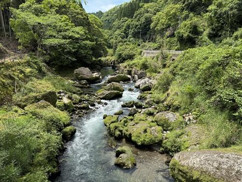 Yamanoyu  No-5