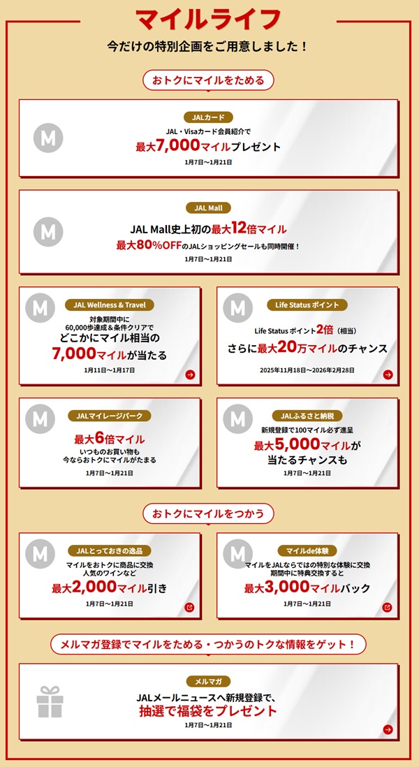 2026  JAL New Year Sale  No-6