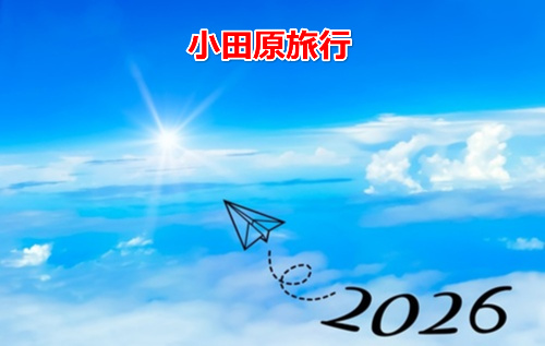 2026  New Years resolution  No-7
