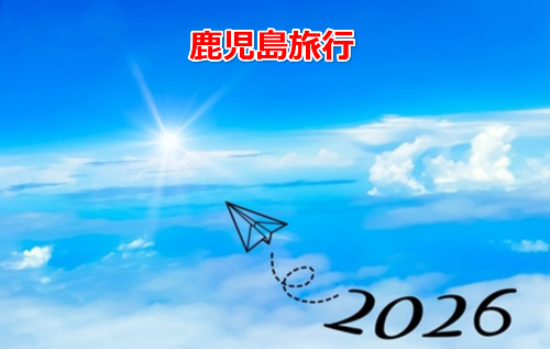 2026  New Years resolution  No-8