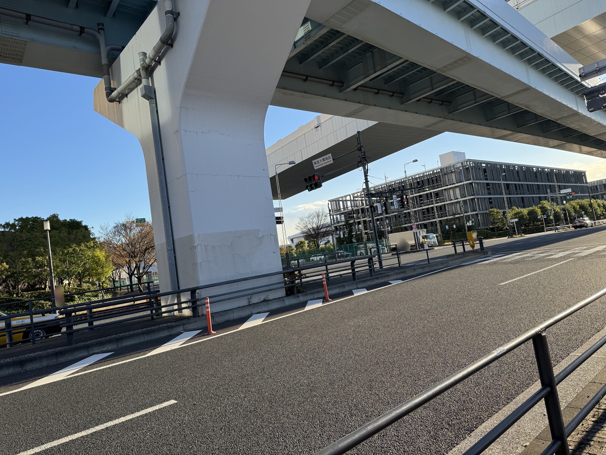 Walking  No-2