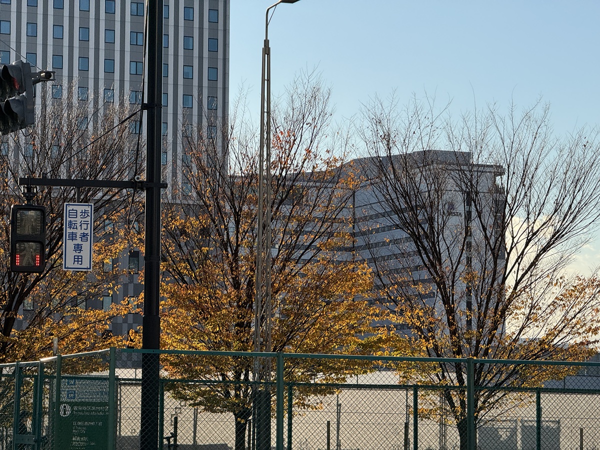 Walking  No-4