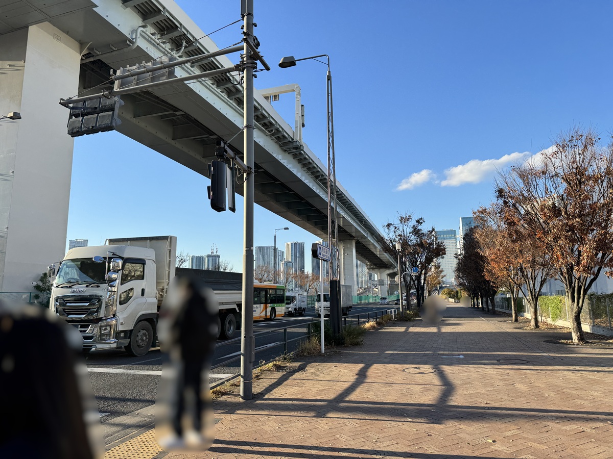 Walking  No-5