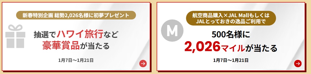 JAL NEW YEAR SALE  No-2
