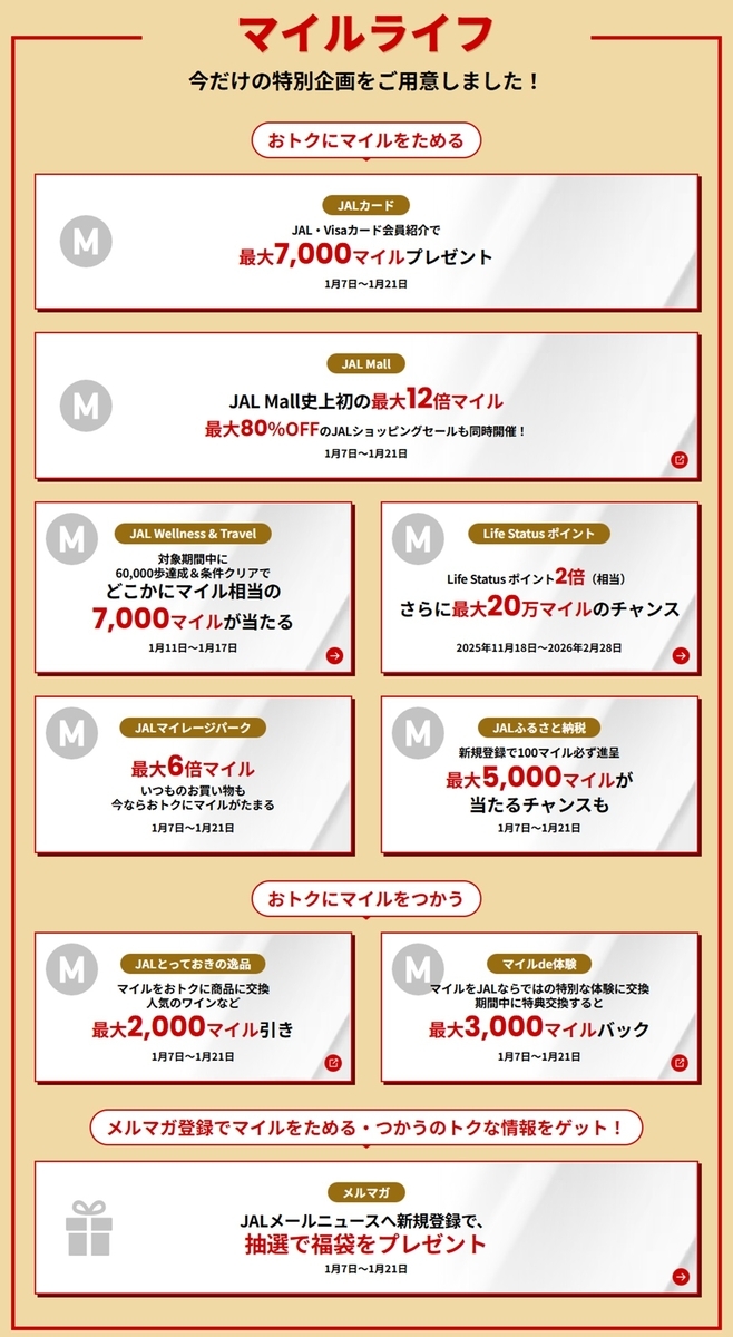 JAL NEW YEAR SALE  No-7