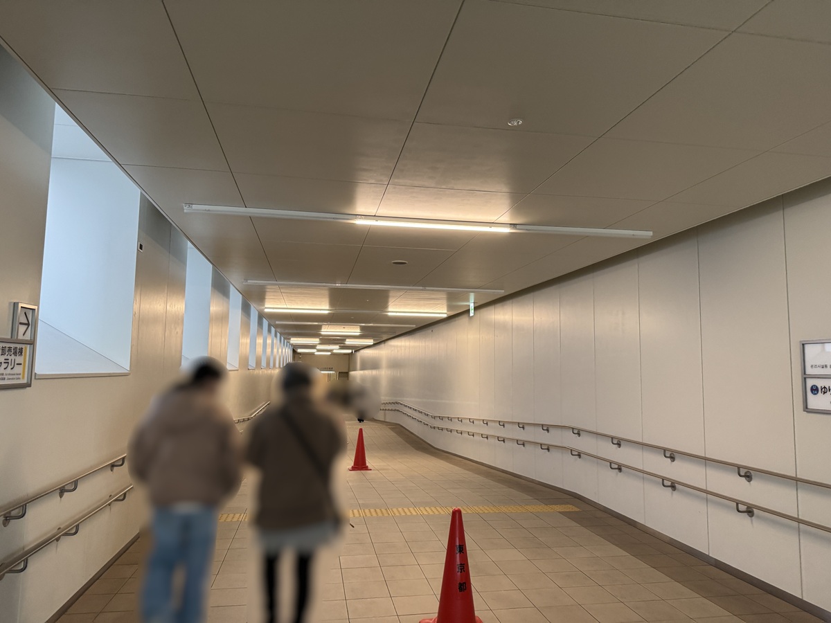 Toyosu Market  No-4