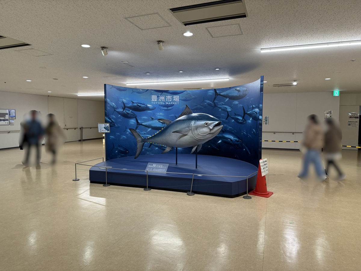 Toyosu Market  No-5