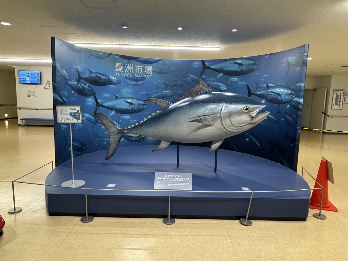 Toyosu Market  No-6
