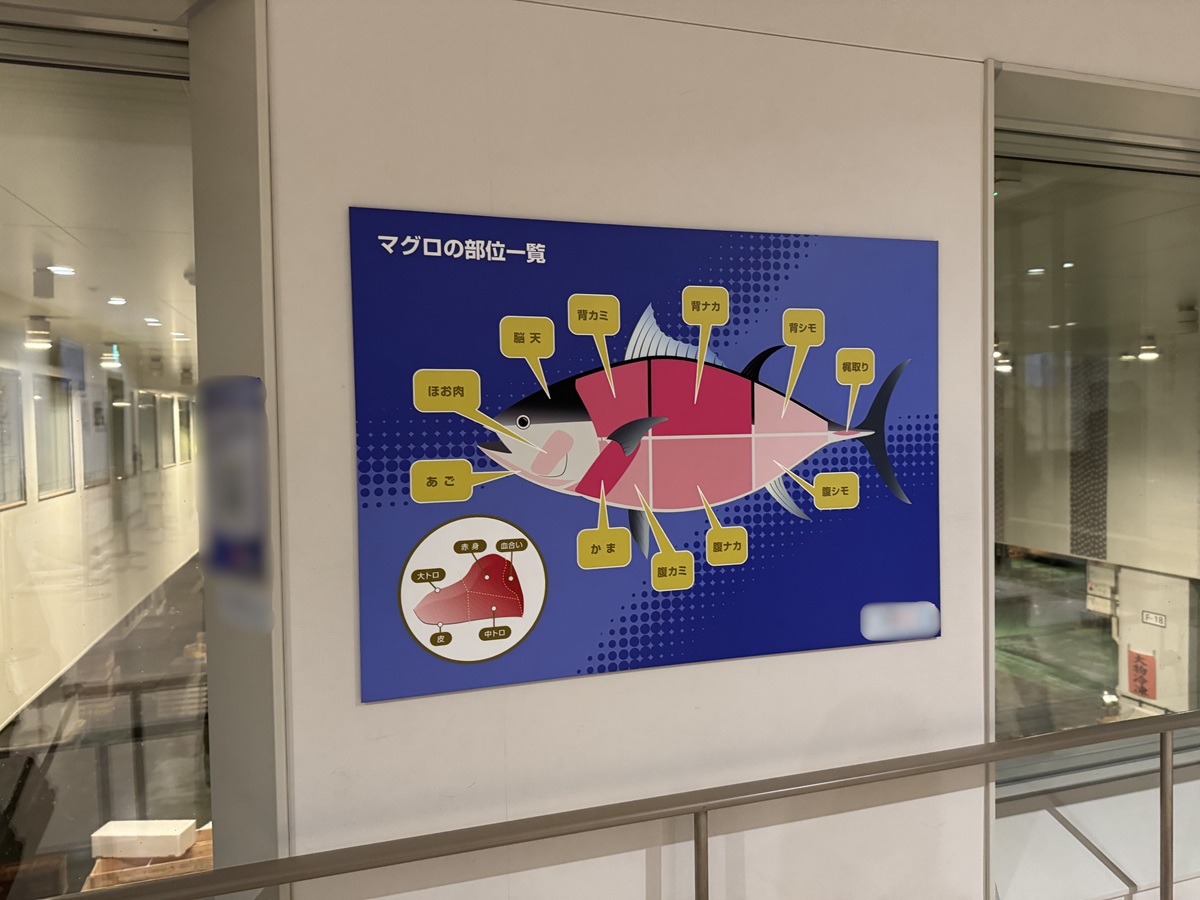 Toyosu Market  No-9
