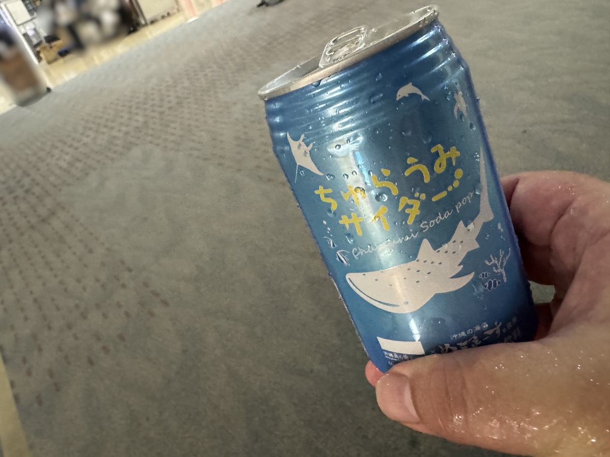 Naha Airport  No-16
