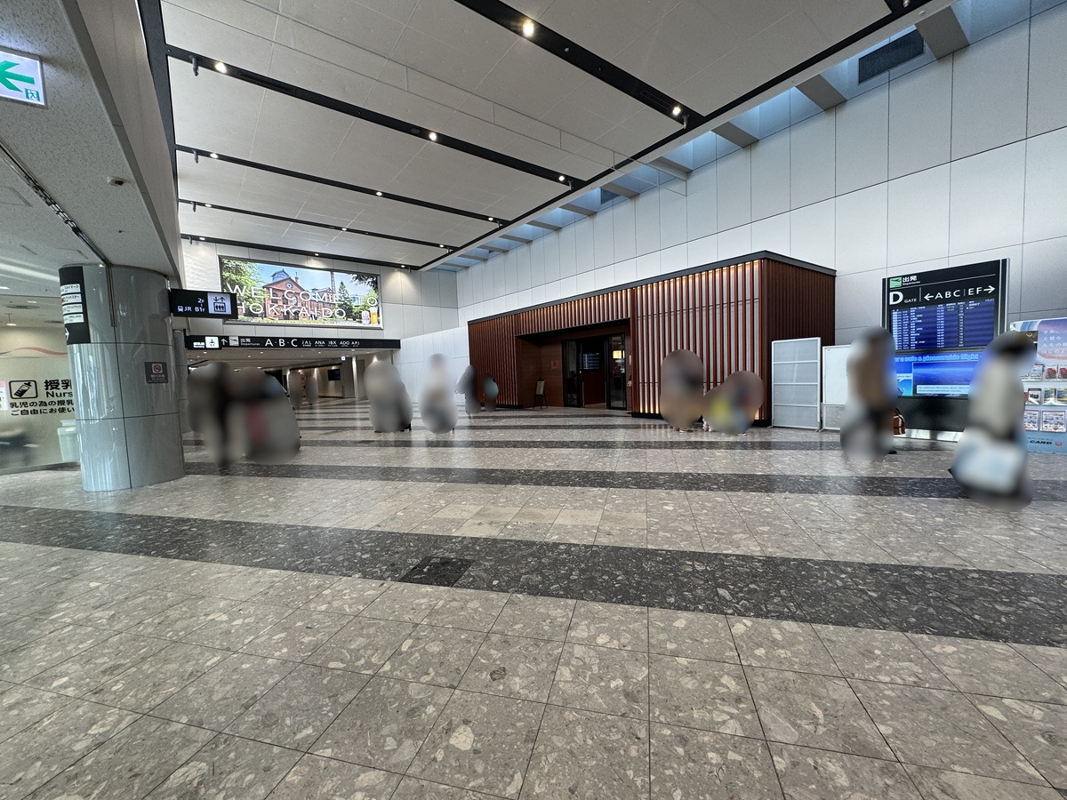 New Chitose Airport  No-10