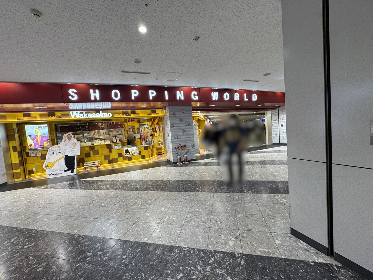 New Chitose Airport  No-11