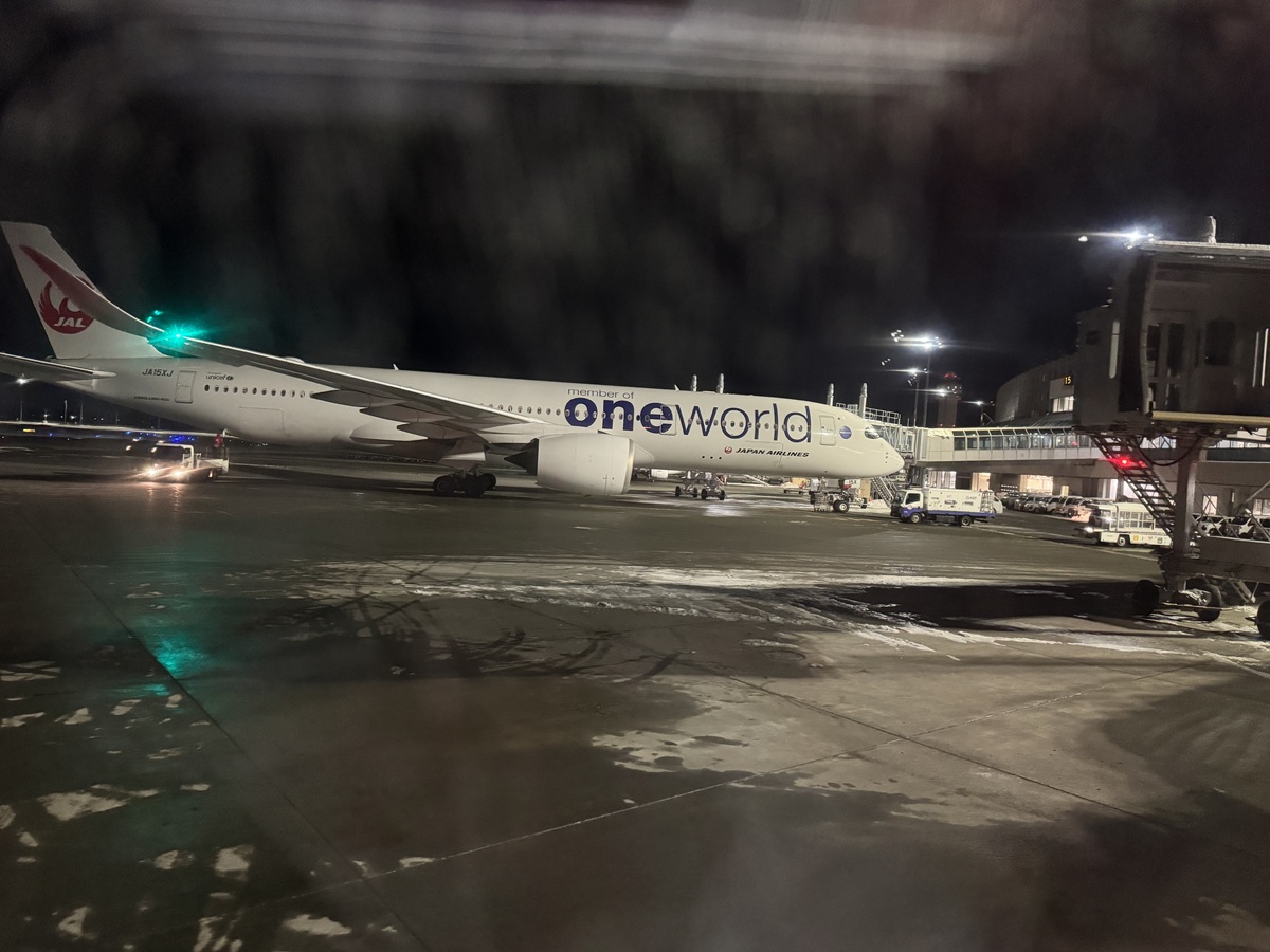 View from the Airplane  No-2