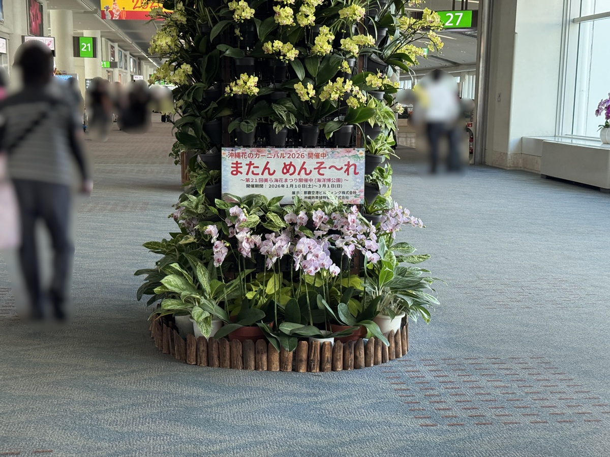 "Naha Airport  No-5