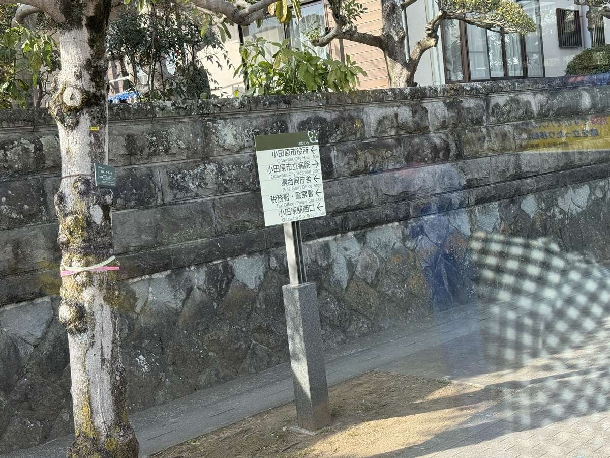 View from the bus   No-1