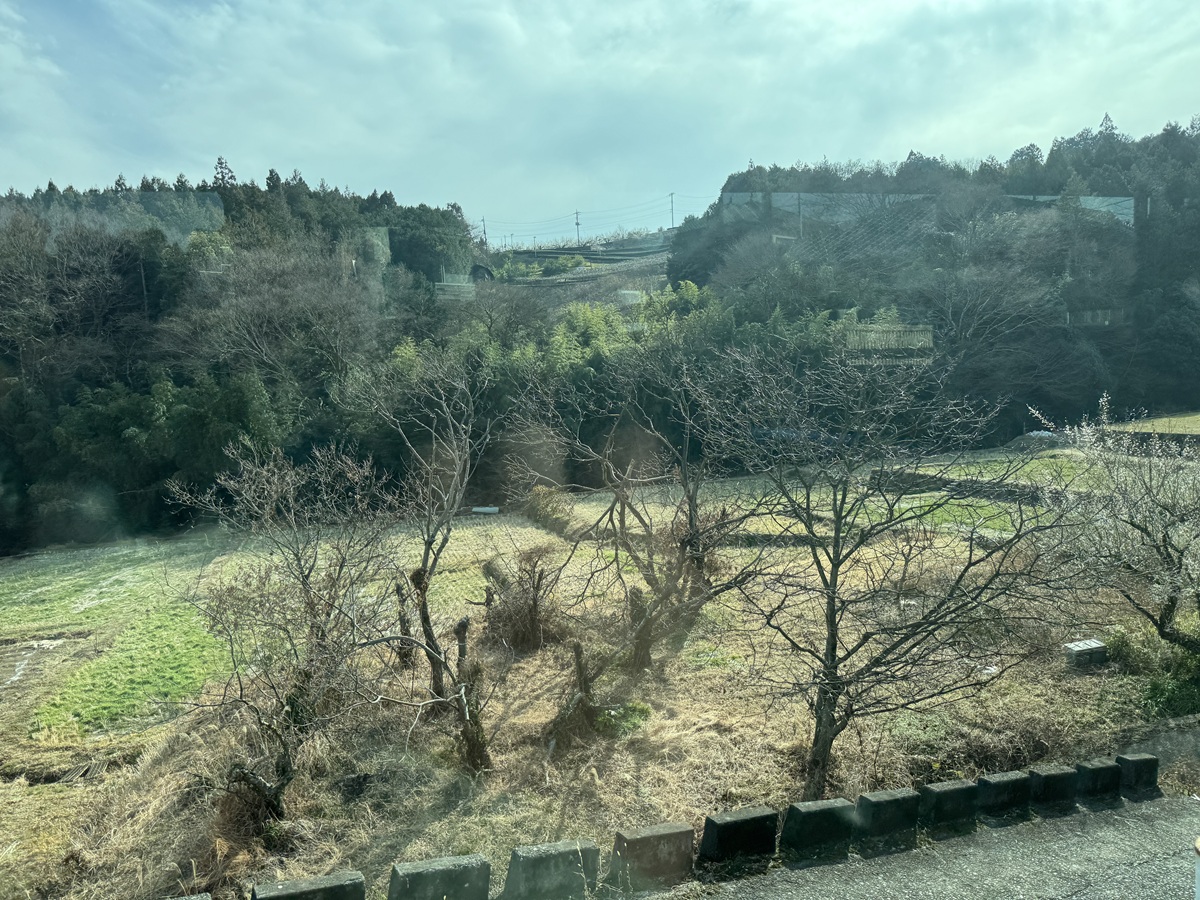 View from the bus   No-2