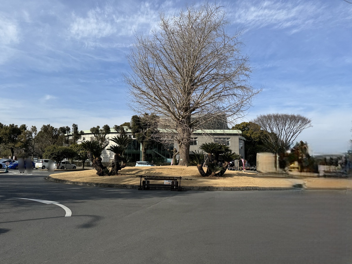 Odawara Flower Garden   No-3