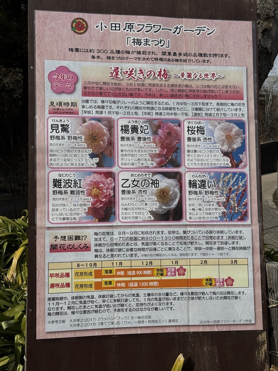 Odawara Flower Garden   No-4