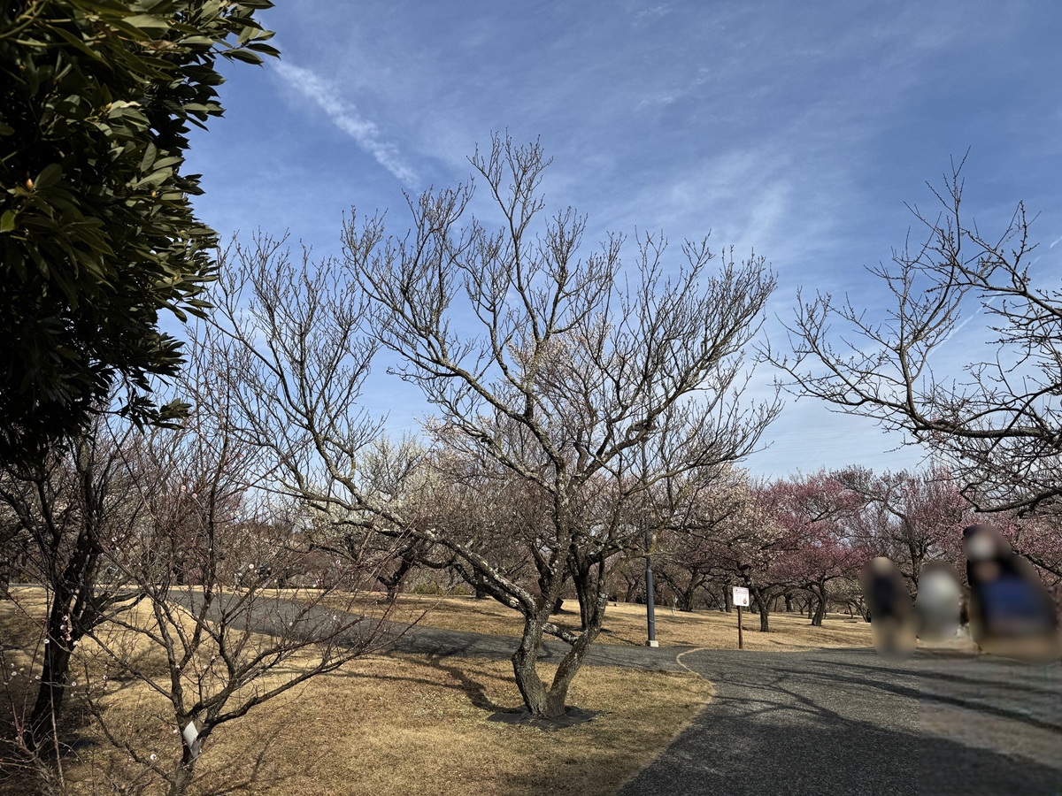 Odawara Flower Garden   No-6