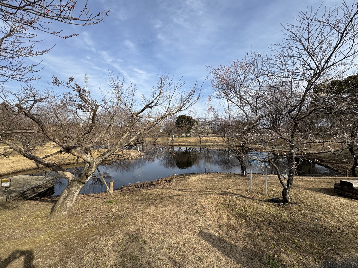 Odawara Flower Garden   No-12
