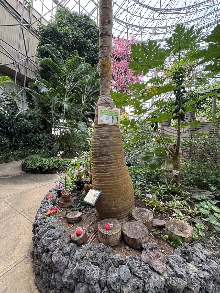 Odawara Flower Garden   No-20