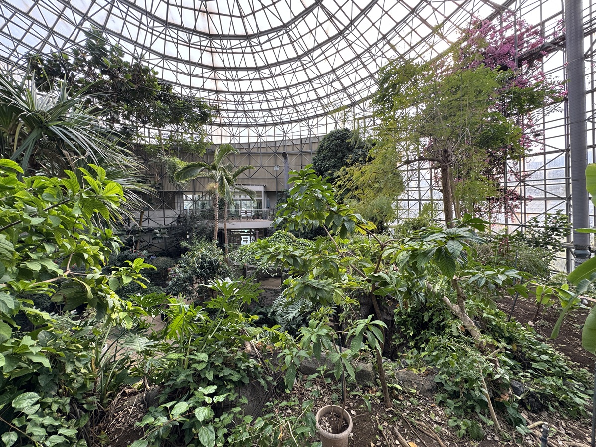 Odawara Flower Garden   No-23