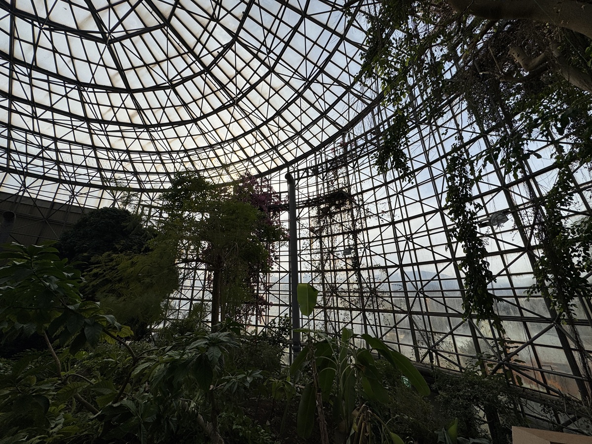 Odawara Flower Garden   No-24