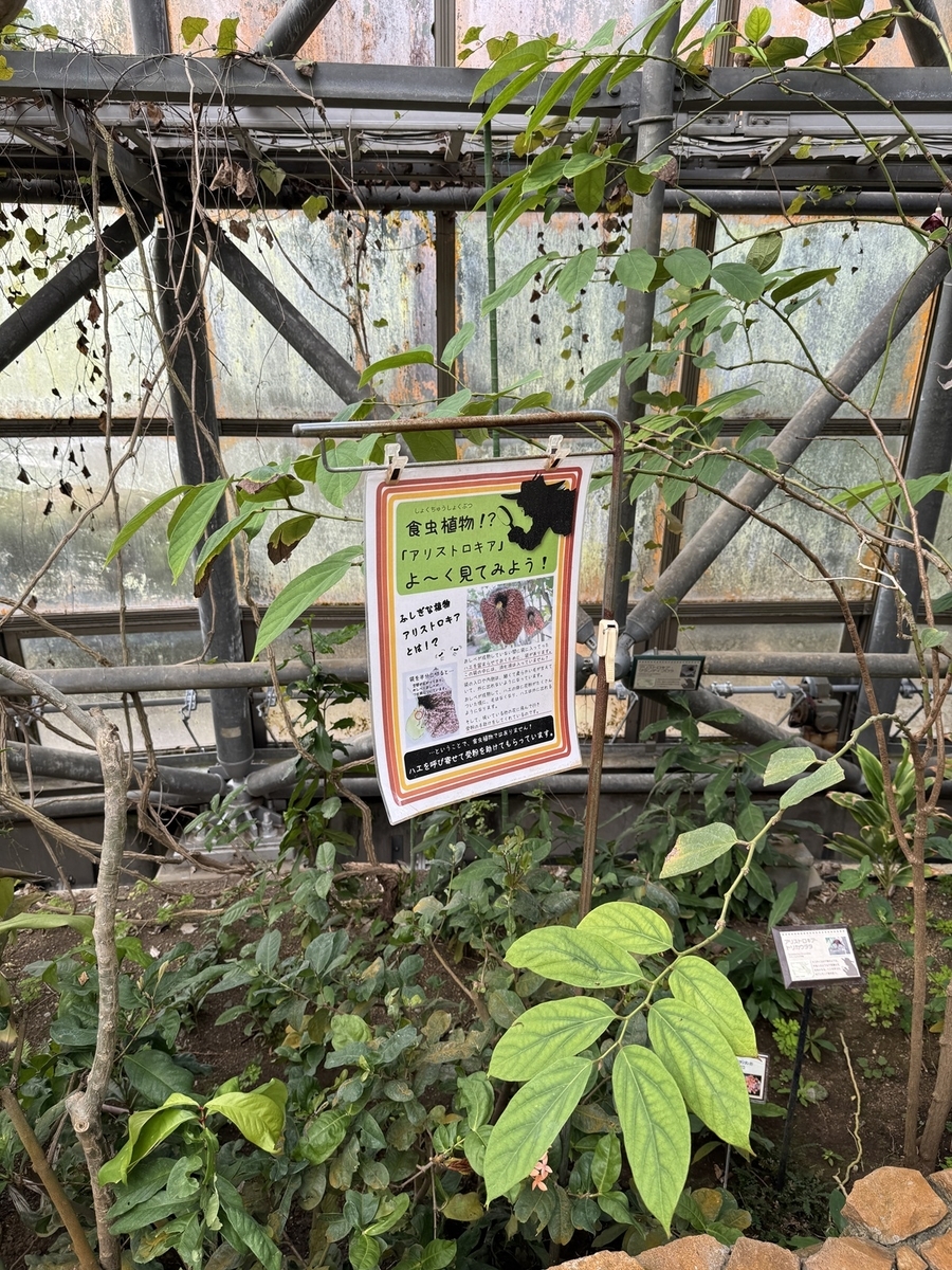 Odawara Flower Garden   No-25