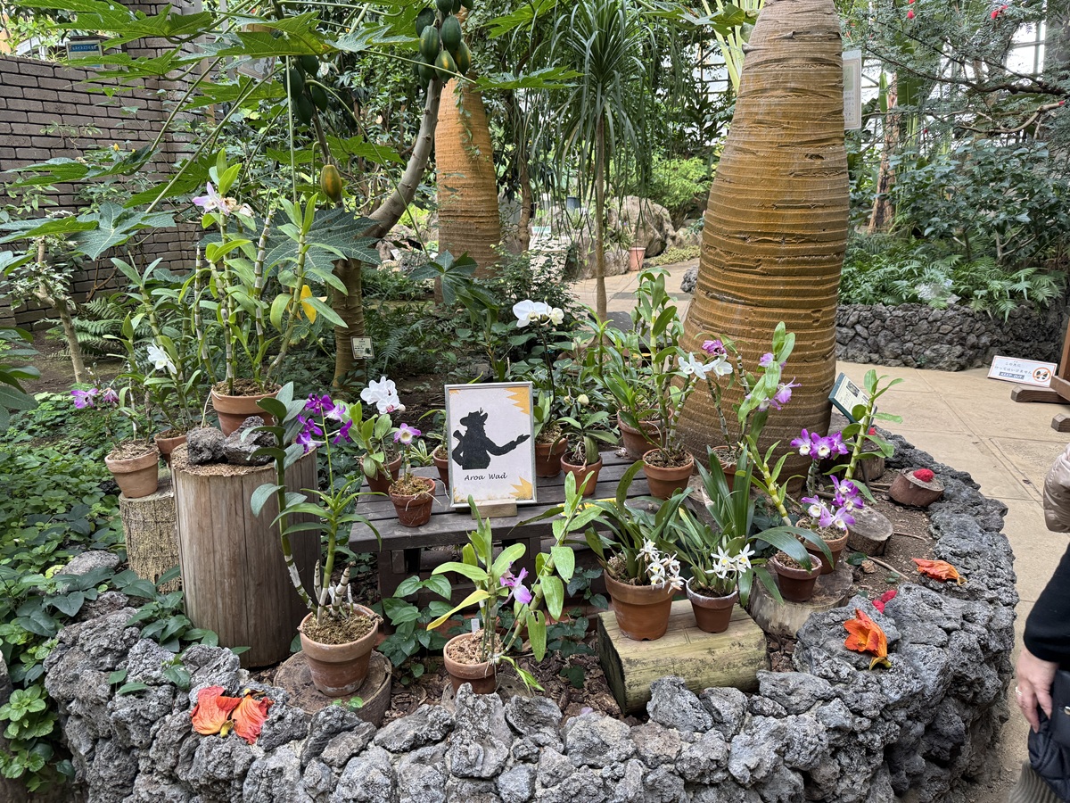 Odawara Flower Garden   No-26