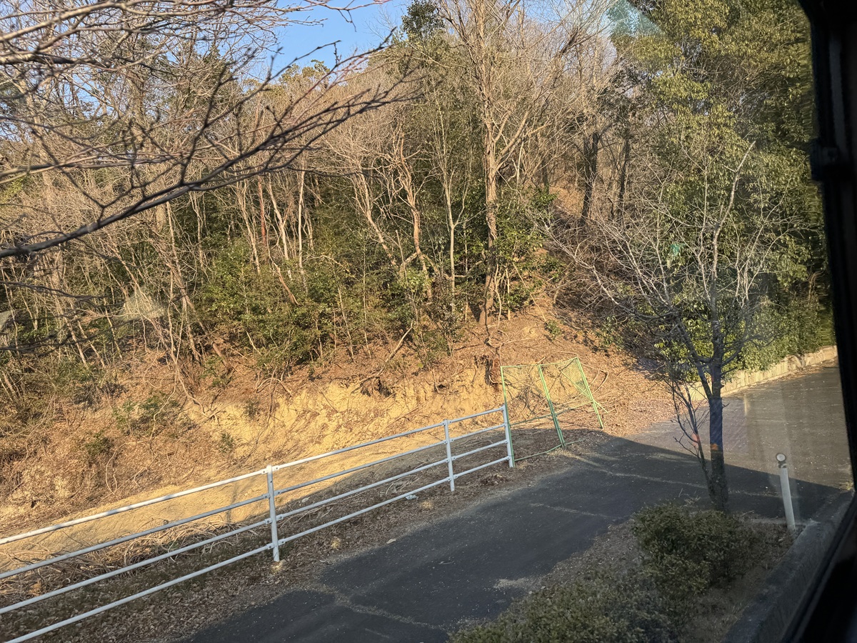 View from the Bus   No-5