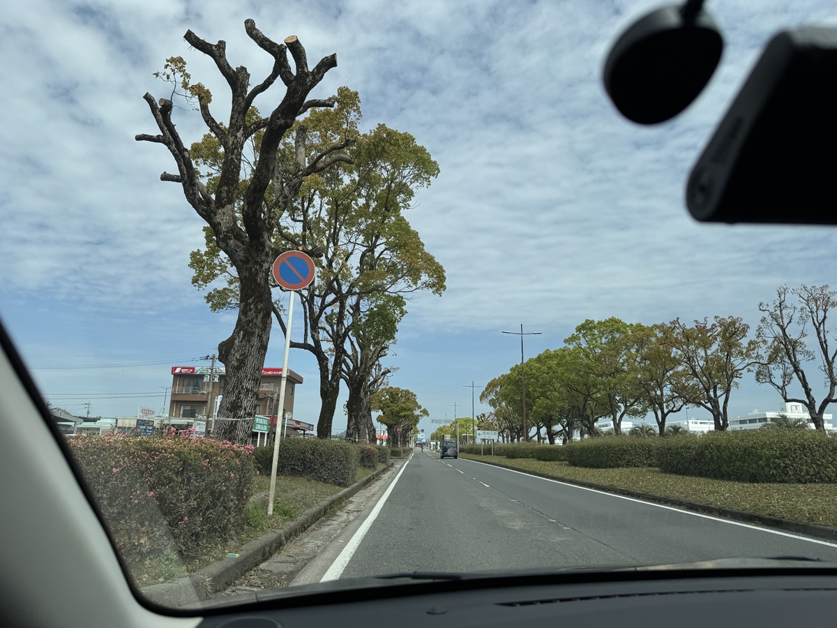 View from the Car   No-4