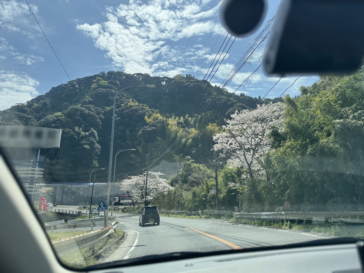 View from the Car   No-10
