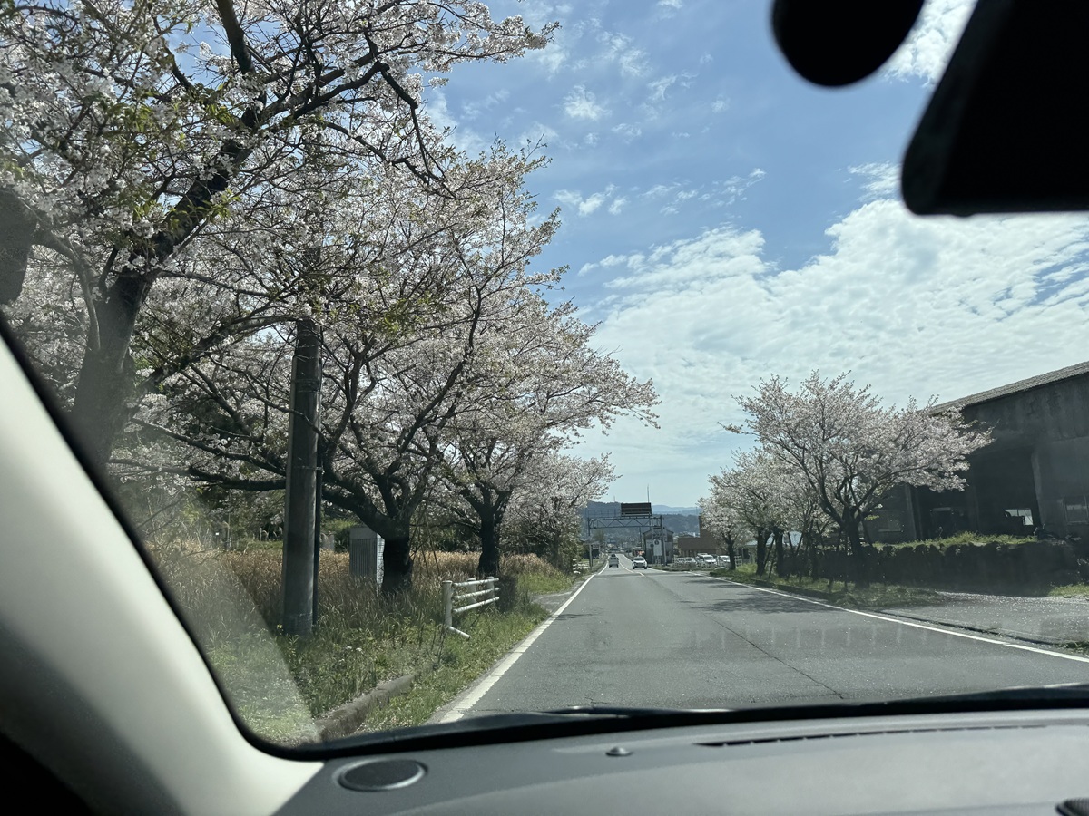 View from the Car   No-11