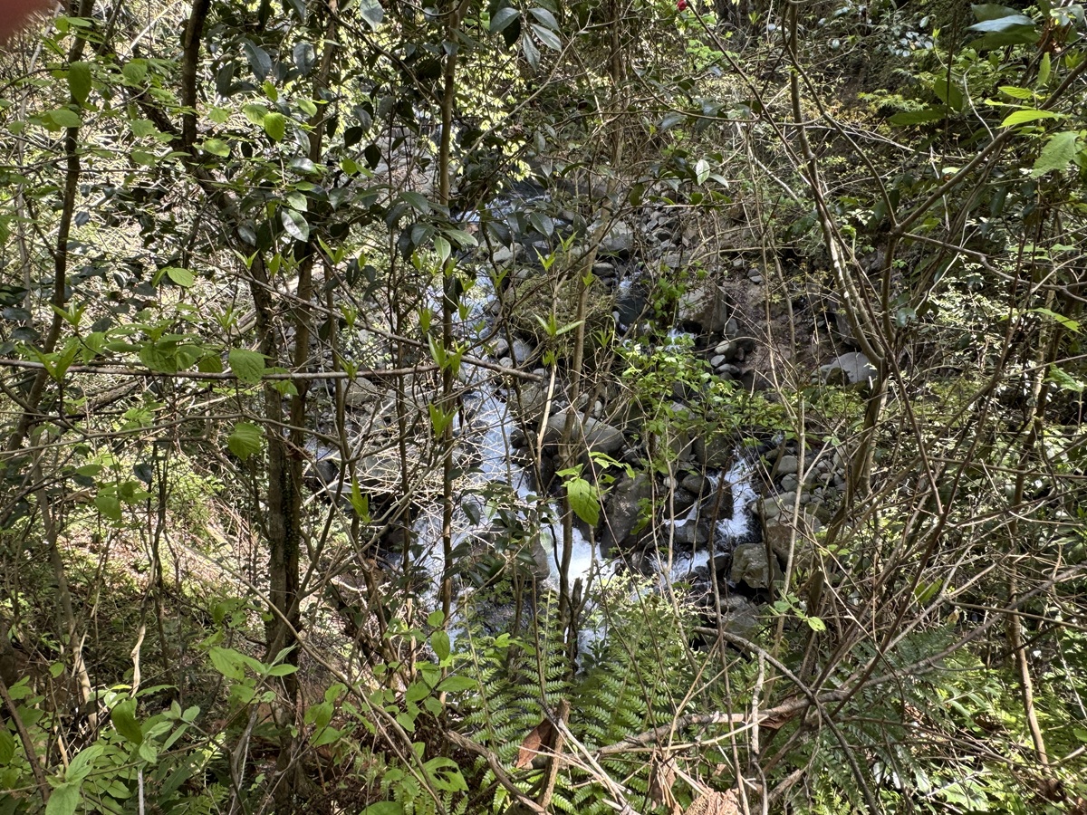 Kirishima Shinsuikyo   No-7