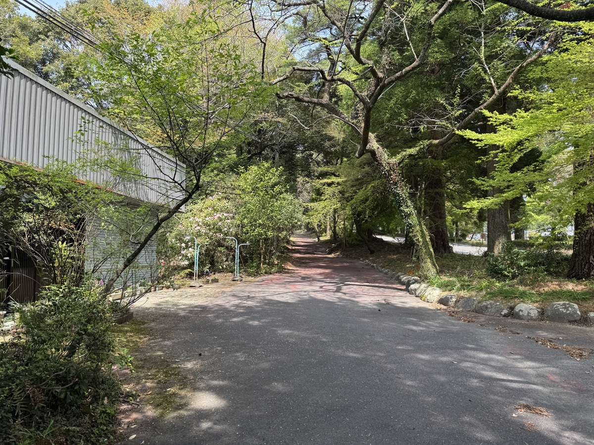 Kirishima Shinsuikyo No-15