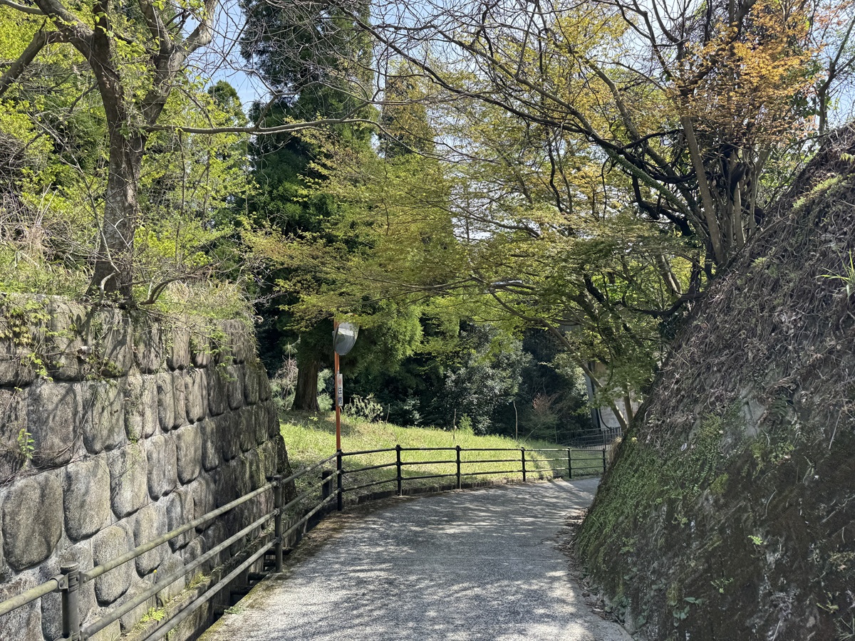 Kirishima Shinsuikyo   No-11