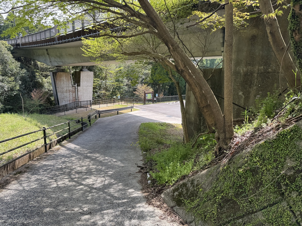 Kirishima Shinsuikyo   No-12