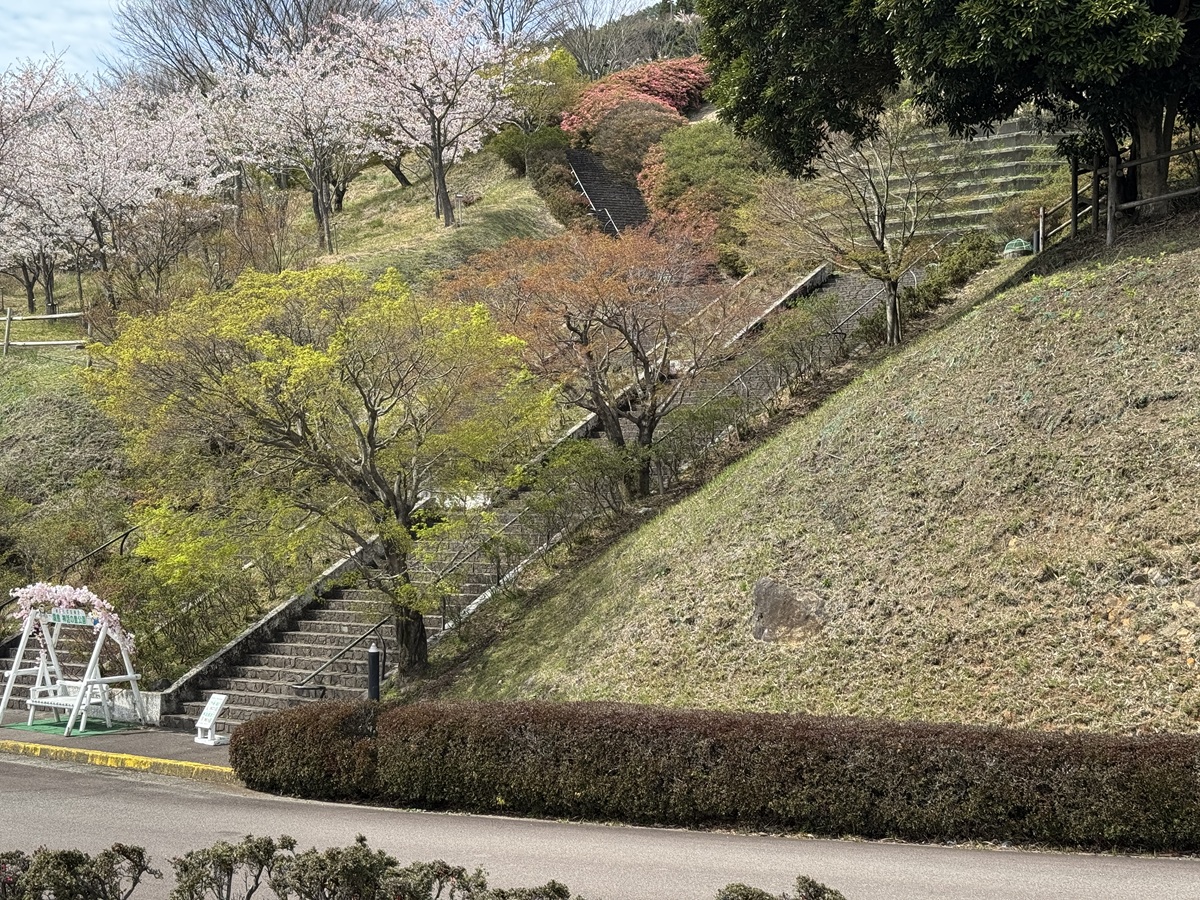 Kirishima Shinwanosato Park   No-8