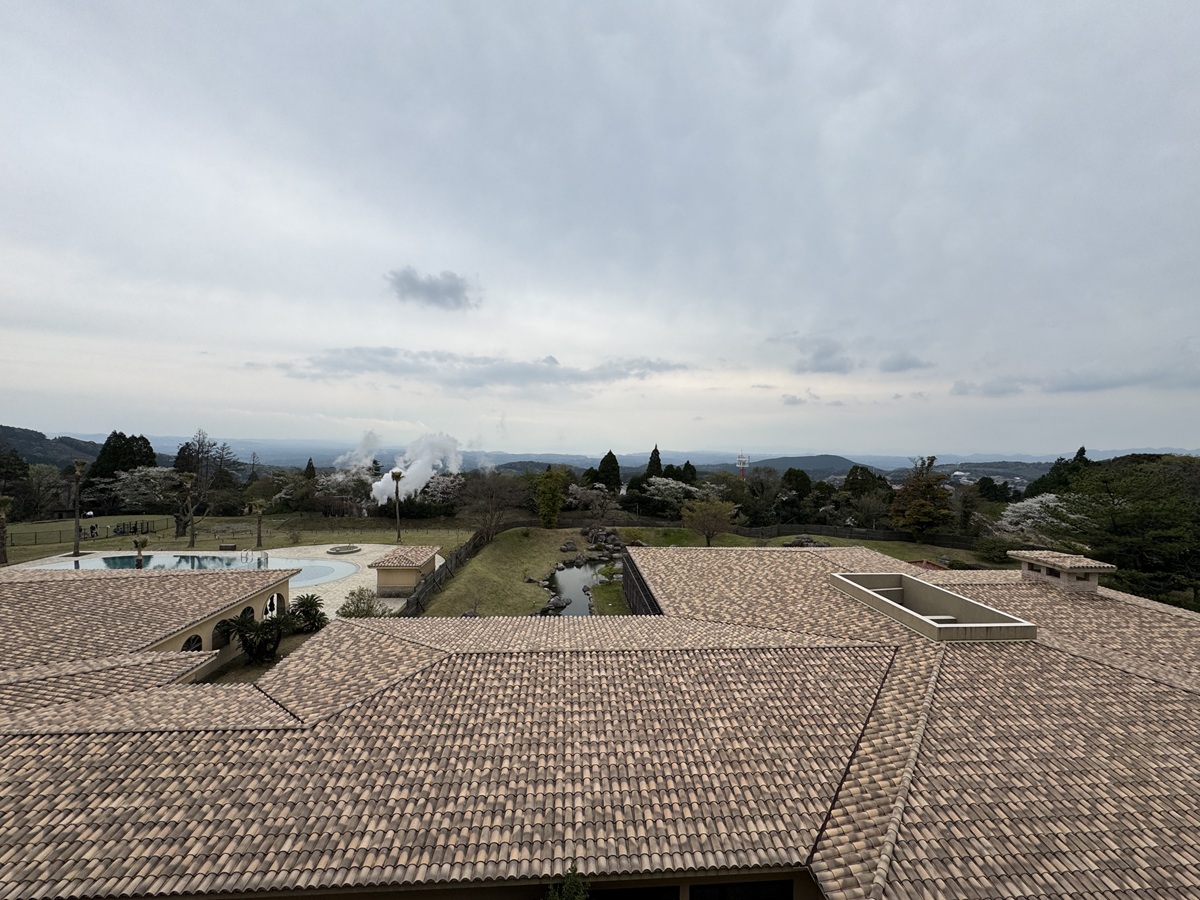 View from the Terrace   No-1