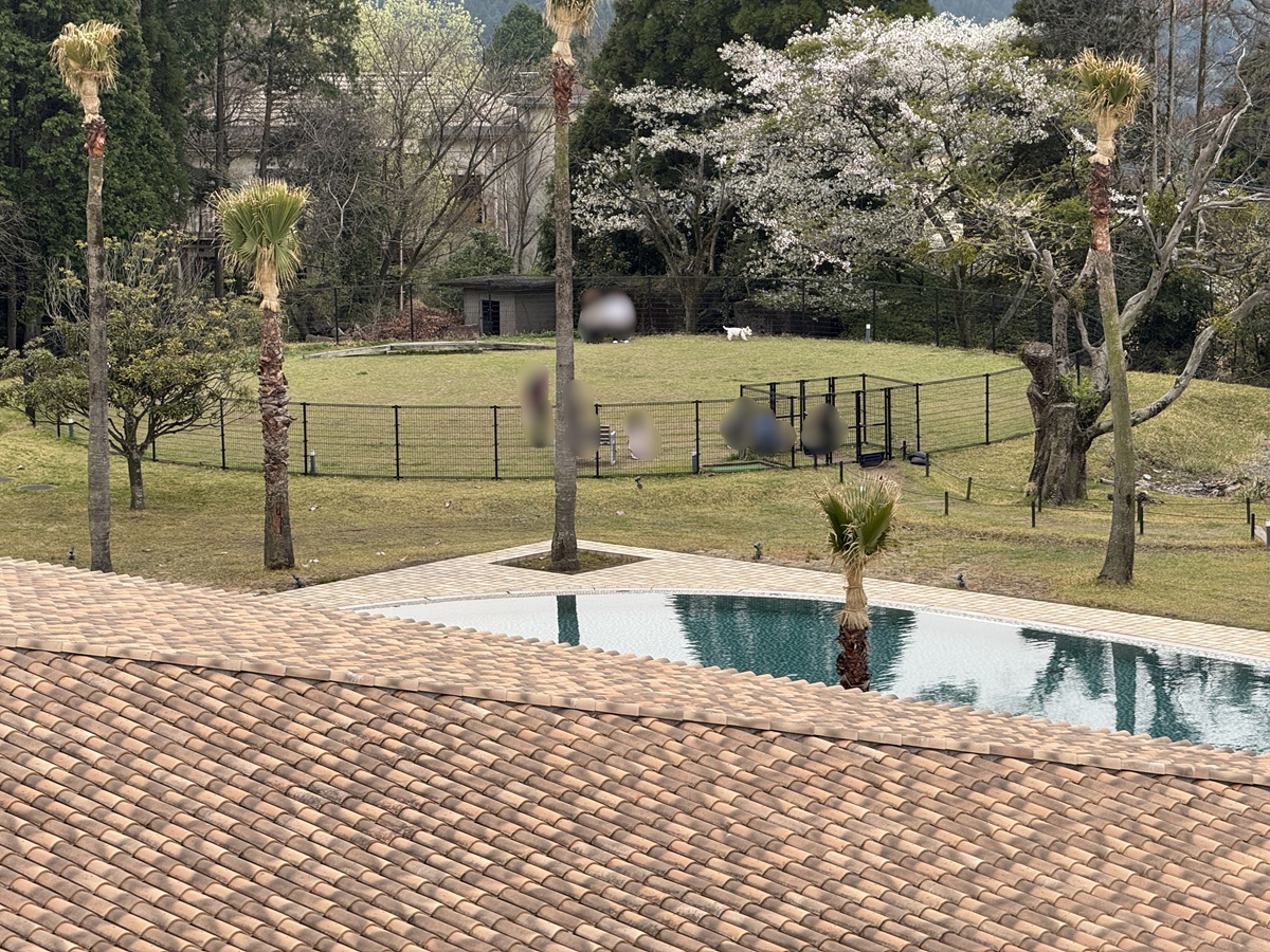 View from the Terrace   No-7