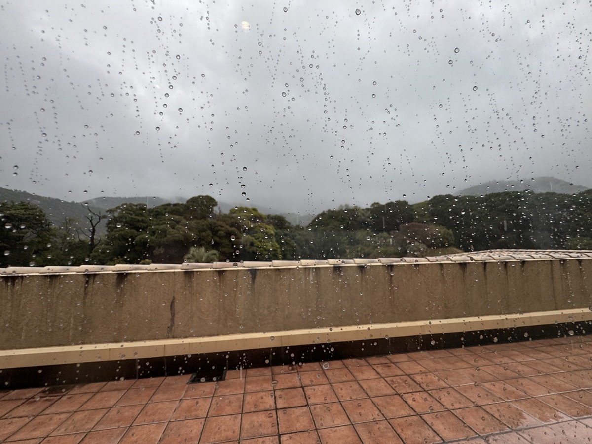 View from the Window