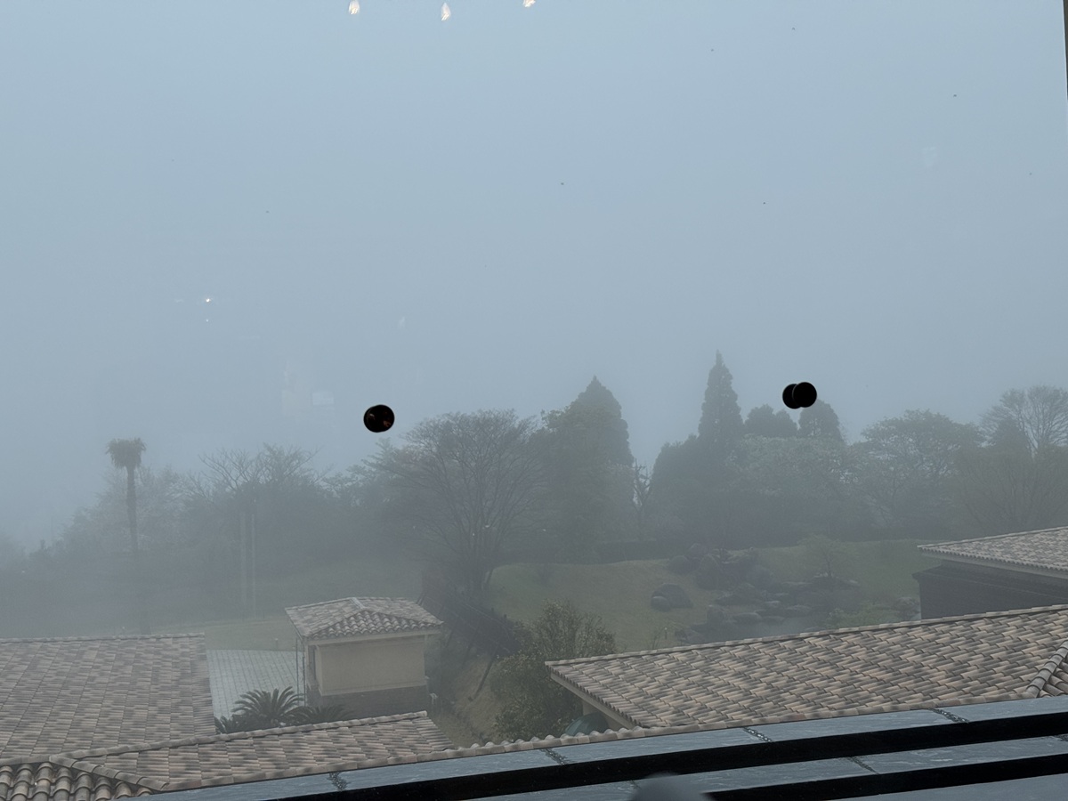 View from Window of Lobby Lounge