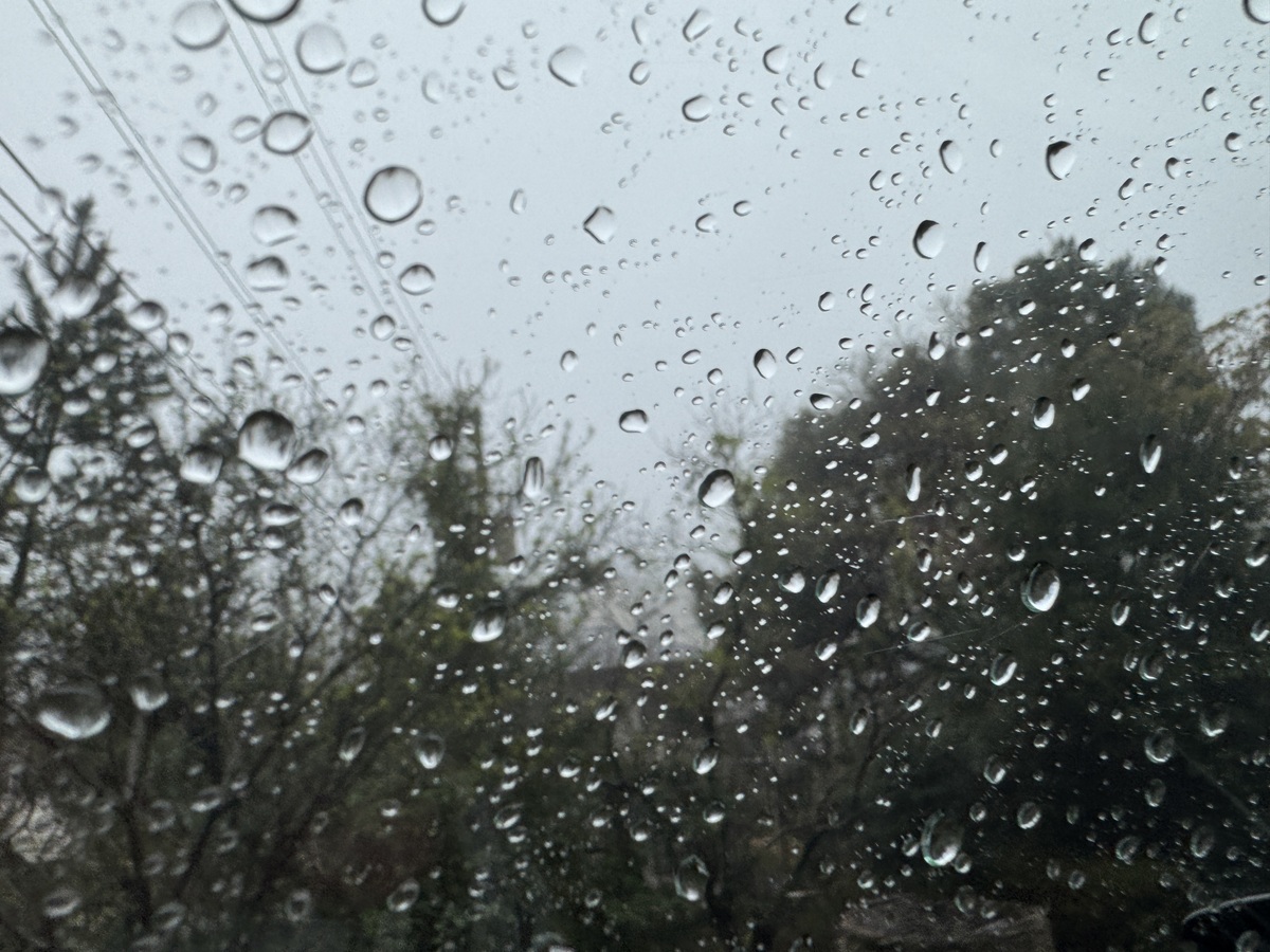 View from the Car   No-2