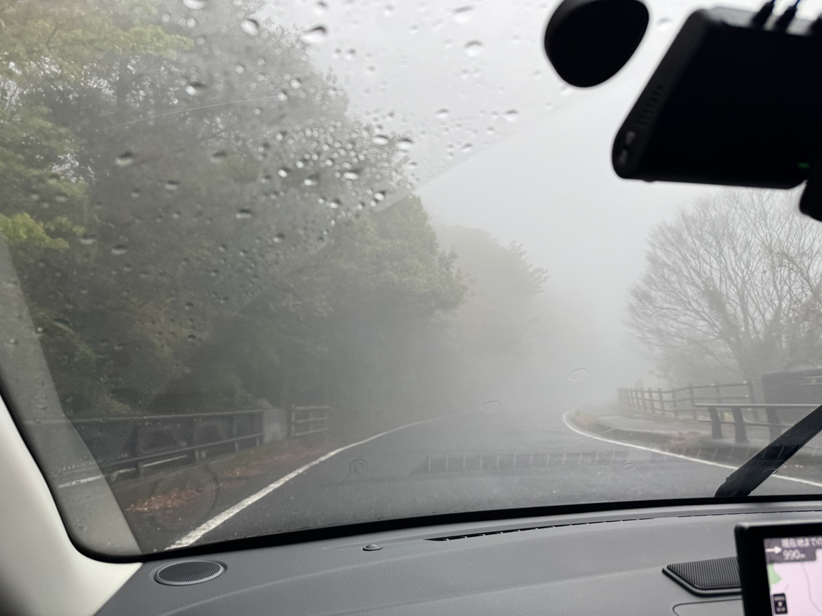 dense fog No-1